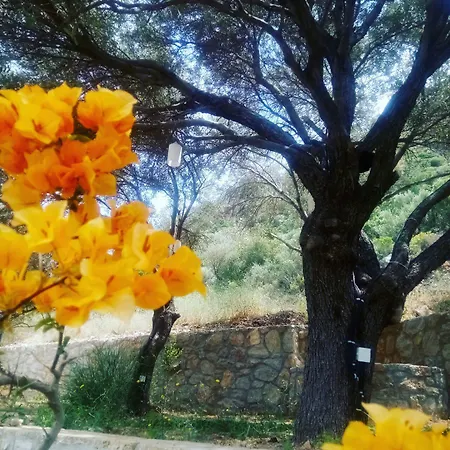 Ipekce 3* Месудие