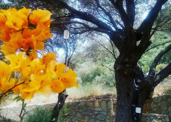 Ipekce 3* Месудие